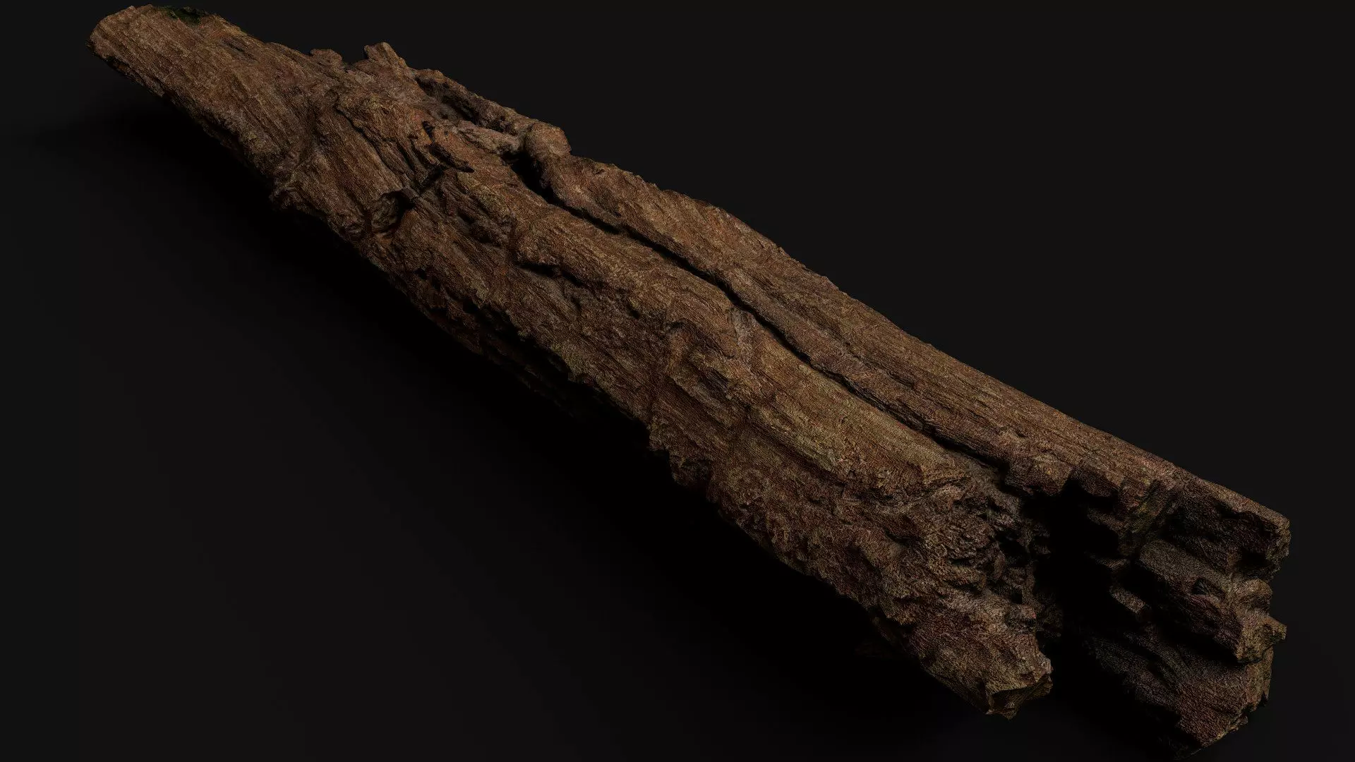 tree trunk broken dry wood debris PBR photogrammetry Low-poly 3D model_0