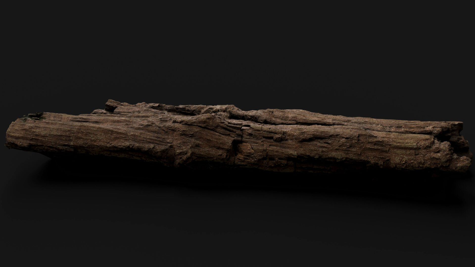 tree trunk broken dry wood debris PBR photogrammetry Low-poly 3D model_6