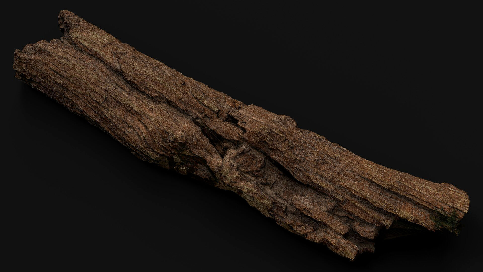 tree trunk broken dry wood debris PBR photogrammetry Low-poly 3D model_3