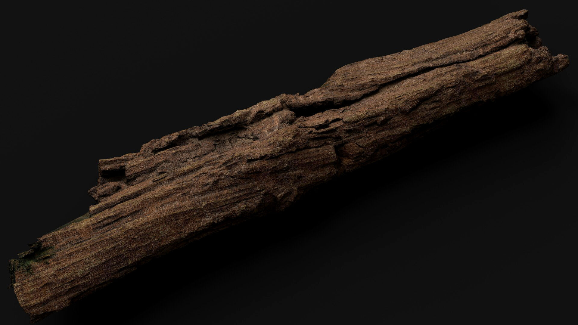 tree trunk broken dry wood debris PBR photogrammetry Low-poly 3D model_1
