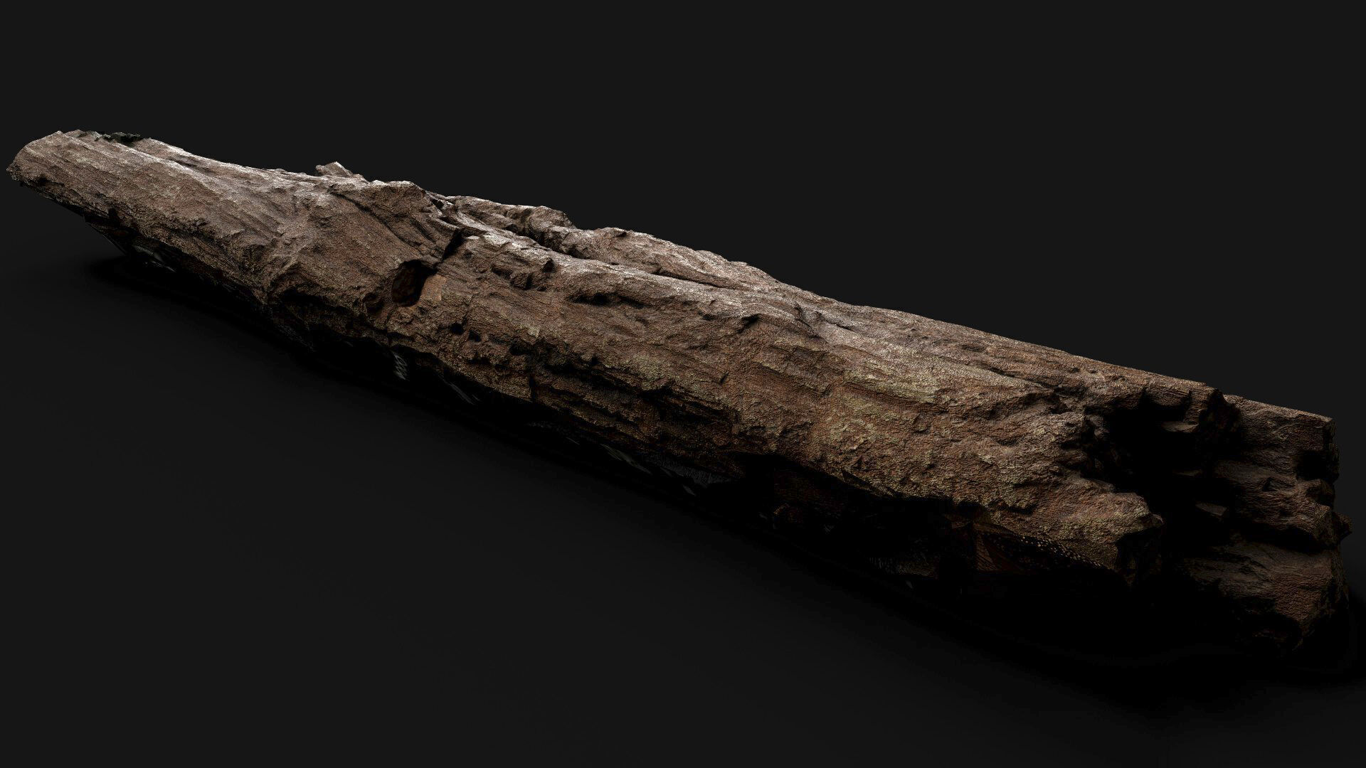 tree trunk broken dry wood debris PBR photogrammetry Low-poly 3D model_2