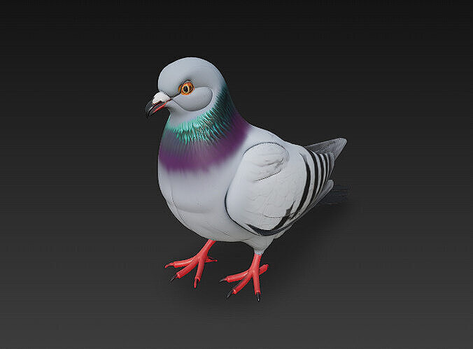 Pigeon Realistic 3D Model Basic - Low Poly Realistic Low-poly 3D model