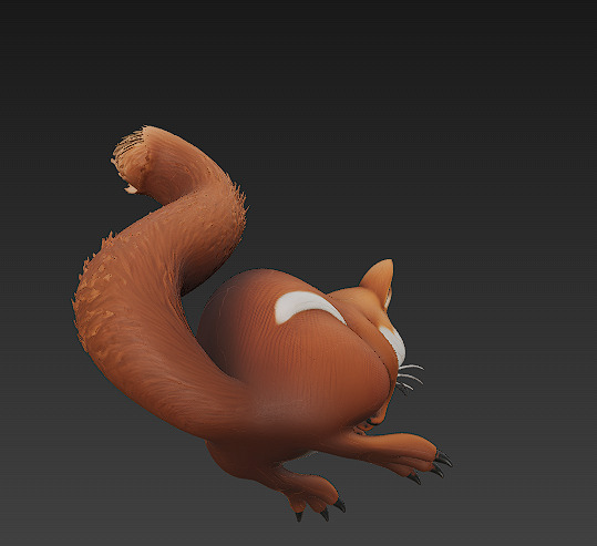 Squirrel Realistic 3D Model Basic - Low Poly Realistic Low-poly 3D model_4