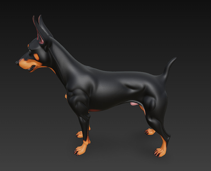 Dog Doberman Realistic 3D Model - Low Poly Realistic Low-poly 3D model_8