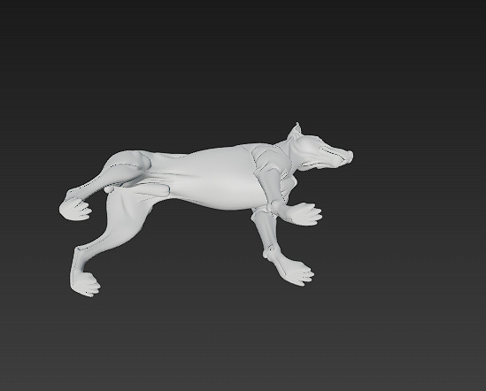 Dog Doberman Realistic 3D Model - Low Poly Realistic Low-poly 3D model_14
