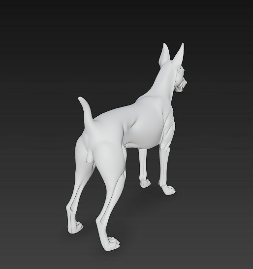 Dog Doberman Realistic 3D Model - Low Poly Realistic Low-poly 3D model_12