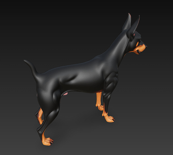Dog Doberman Realistic 3D Model - Low Poly Realistic Low-poly 3D model_4
