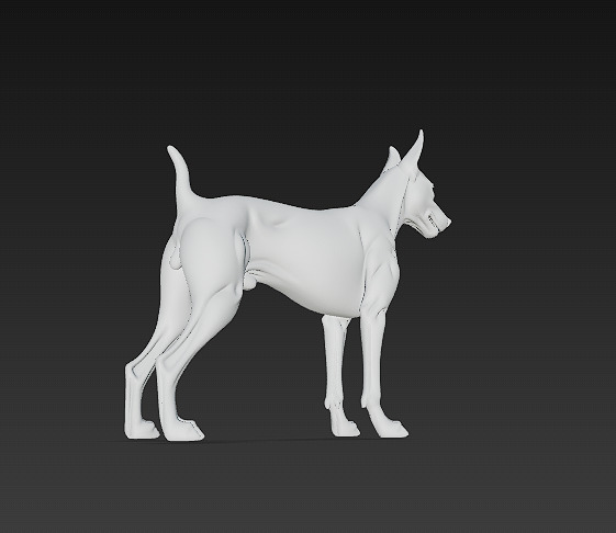 Dog Doberman Realistic 3D Model - Low Poly Realistic Low-poly 3D model_13