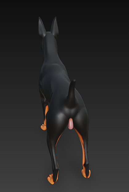 Dog Doberman Realistic 3D Model - Low Poly Realistic Low-poly 3D model_5