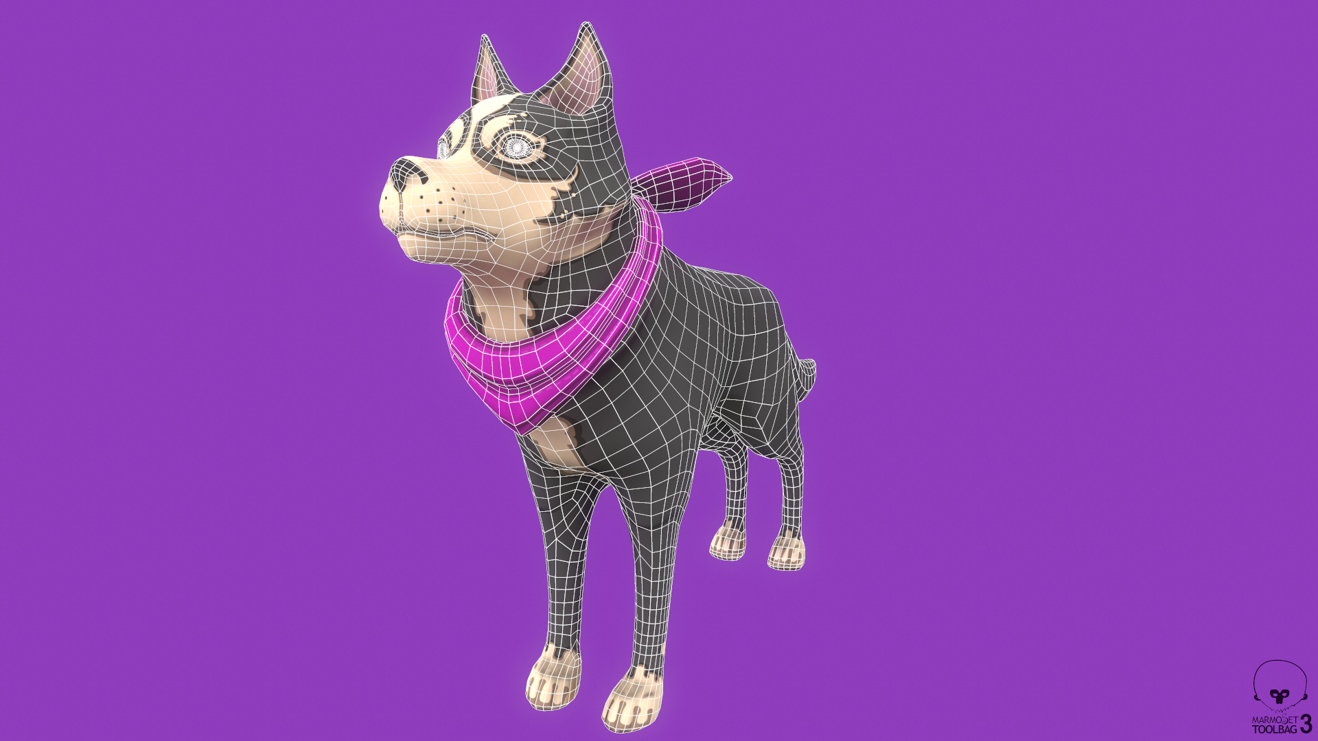 Stylized Grey Seberian Husky for Games and Animation Low-poly 3D model_6