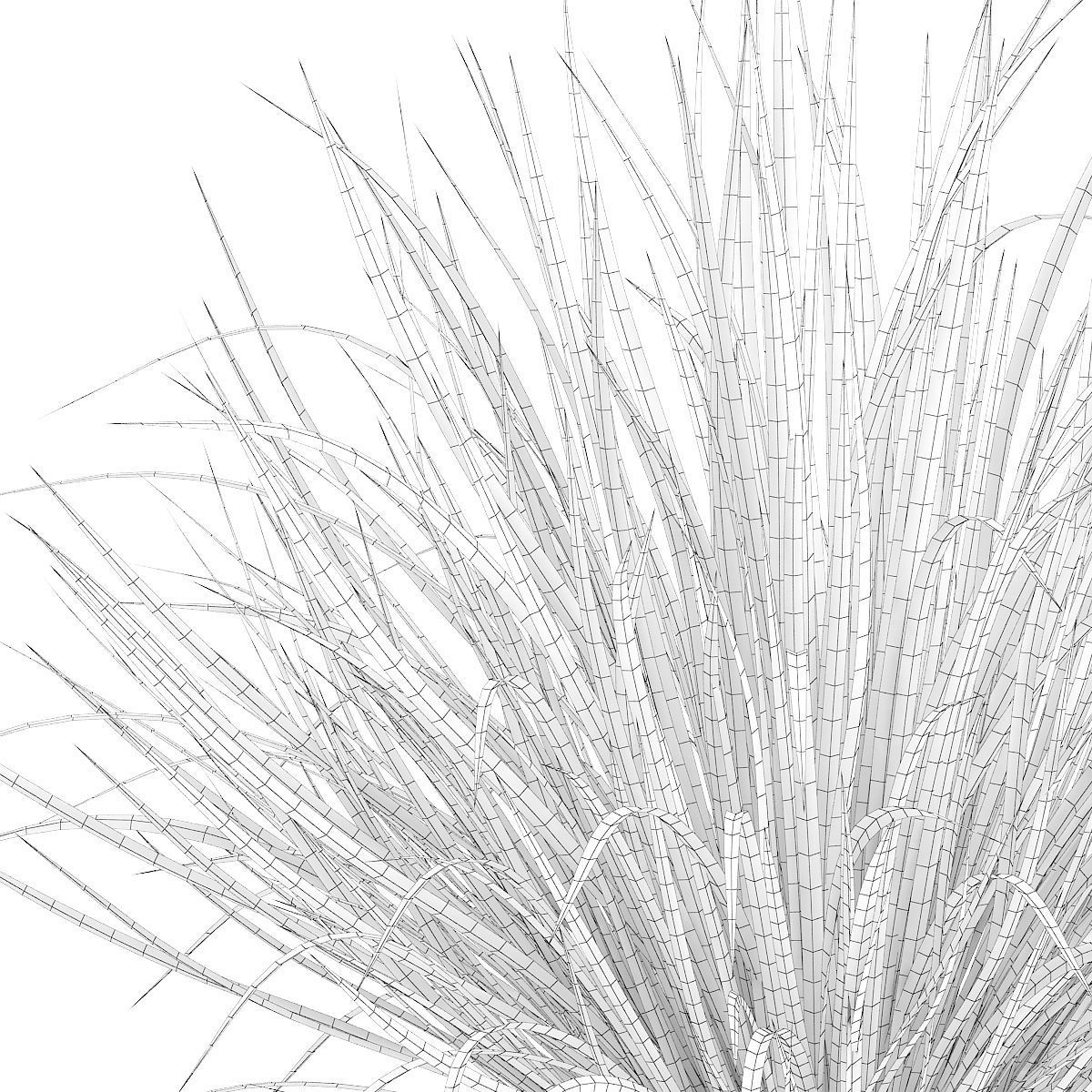 Ornamental Grass 4 3D model_7