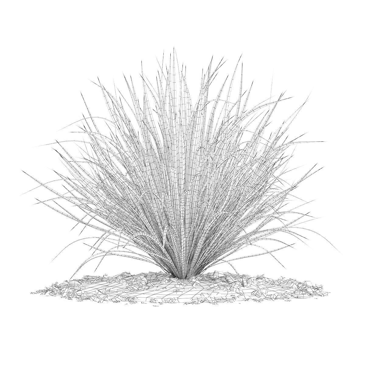 Ornamental Grass 4 3D model_3