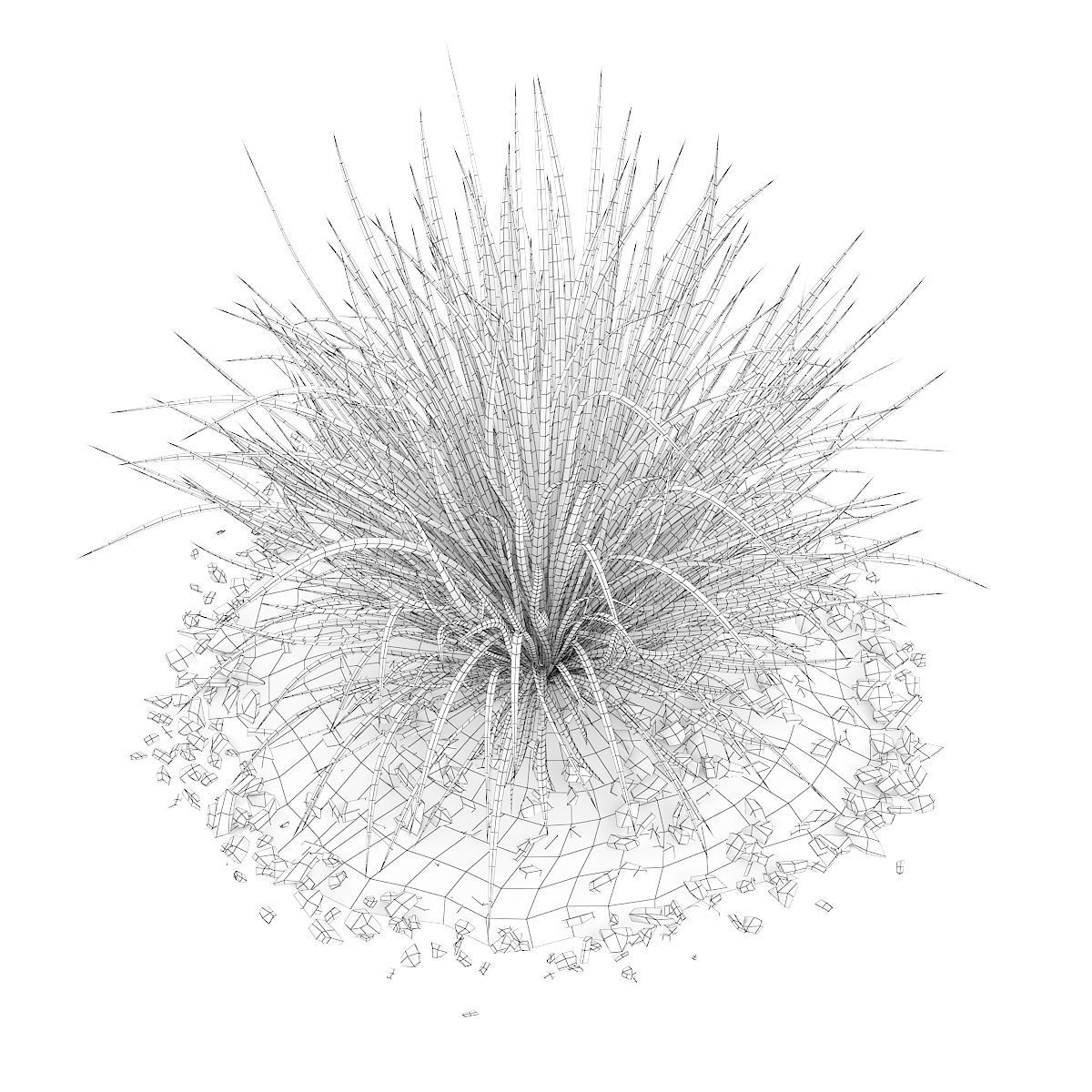 Ornamental Grass 4 3D model_5