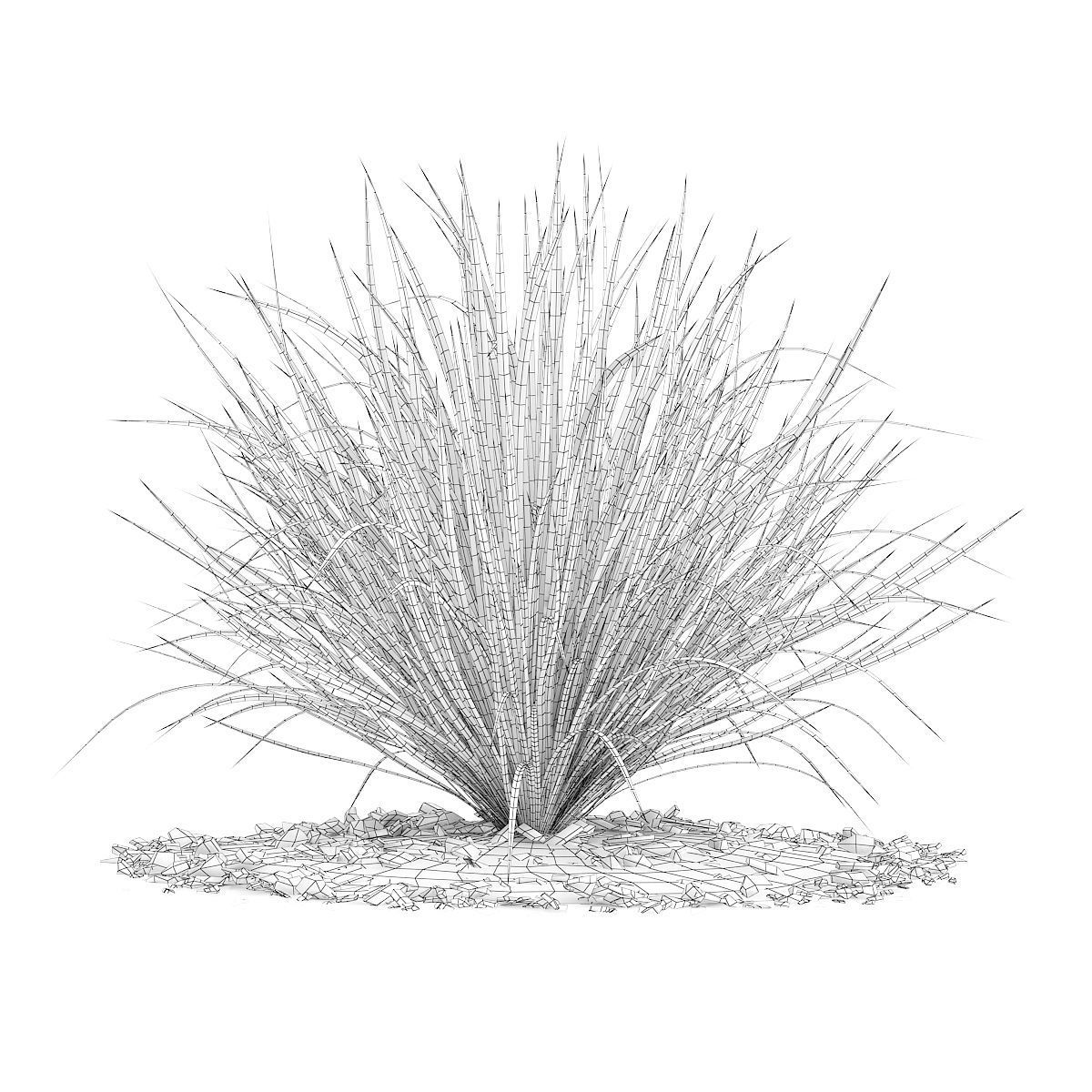 Ornamental Grass 4 3D model_1