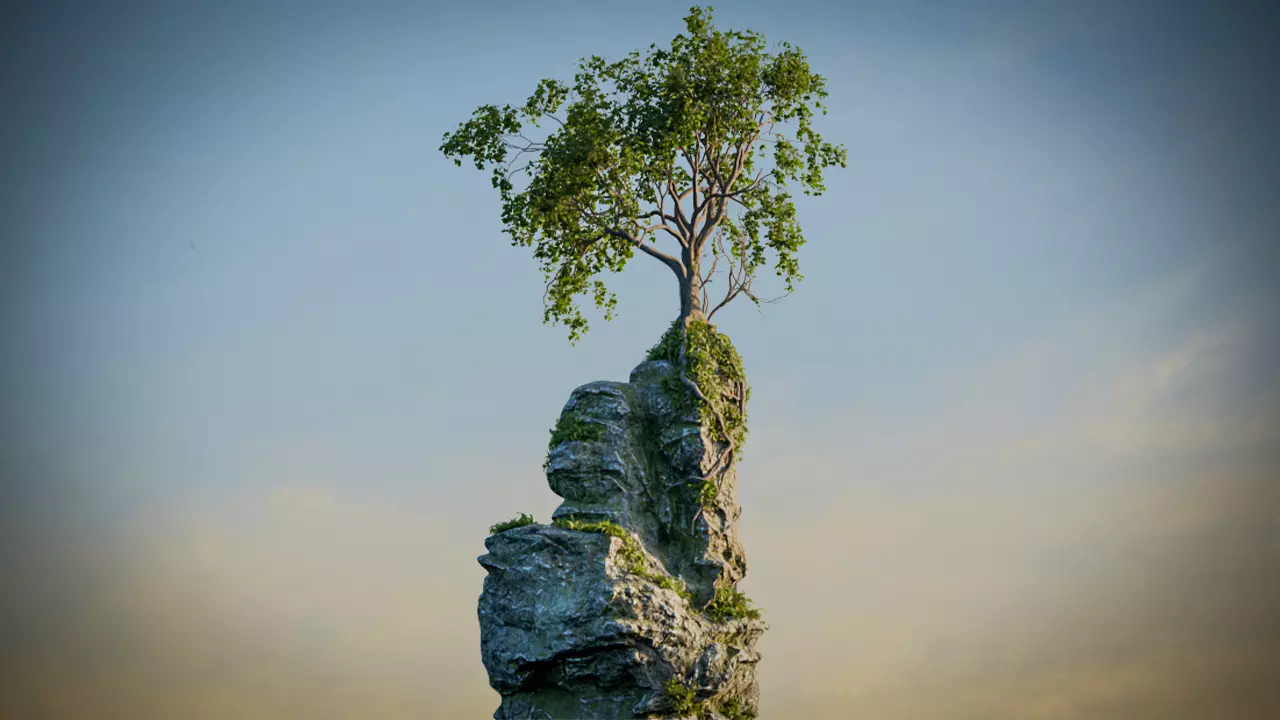 Tree on Rock 3D Model Low-poly 3D model