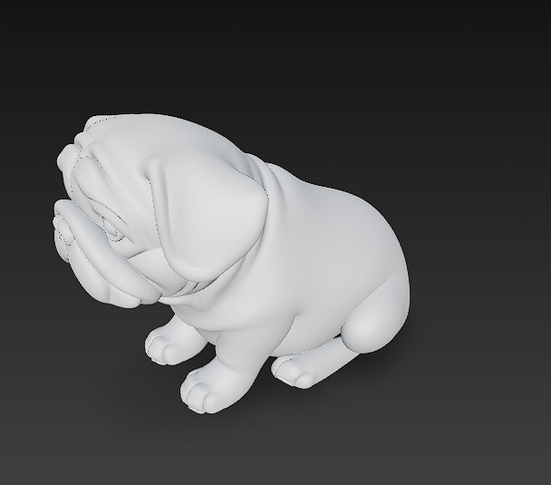 Dog Realistic 3D Model - Low Poly Realistic Low-poly 3D model_11