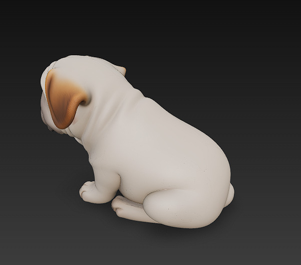 Dog Realistic 3D Model - Low Poly Realistic Low-poly 3D model_8