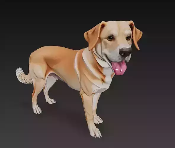Dog Realistic 3D Model - Low Poly Realistic
