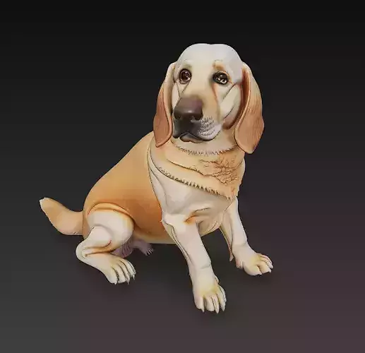 Golden Retriever Dog Realistic 3D Model - Low Poly Realistic