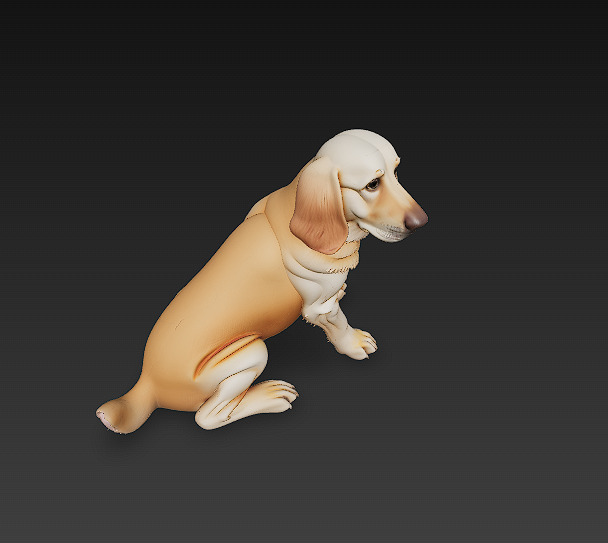 Golden Retriever Dog Realistic 3D Model - Low Poly Realistic Low-poly 3D model_7