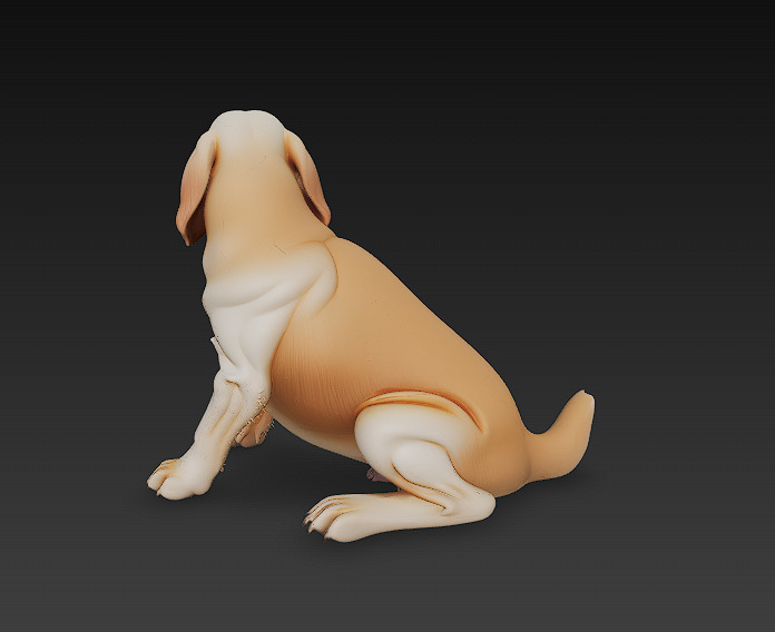Golden Retriever Dog Realistic 3D Model - Low Poly Realistic Low-poly 3D model_5