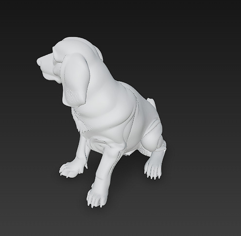 Golden Retriever Dog Realistic 3D Model - Low Poly Realistic Low-poly 3D model_14