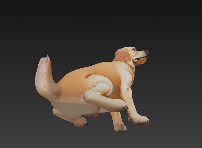 Golden Retriever Dog Realistic 3D Model - Low Poly Realistic Low-poly 3D model_9
