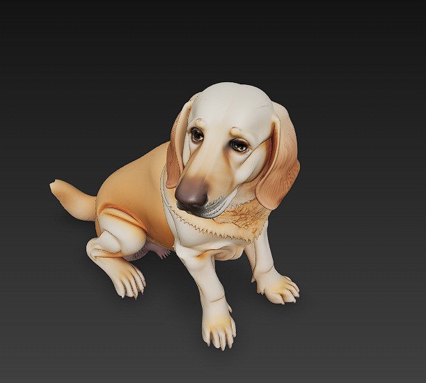 Golden Retriever Dog Realistic 3D Model - Low Poly Realistic Low-poly 3D model_3