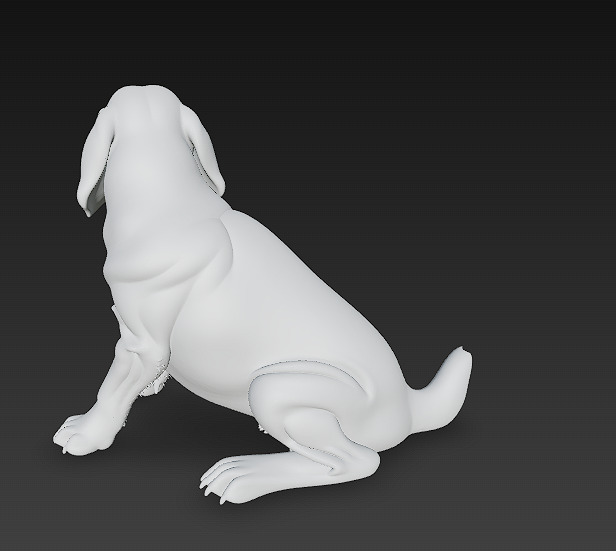 Golden Retriever Dog Realistic 3D Model - Low Poly Realistic Low-poly 3D model_13