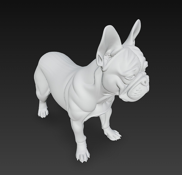 French Bulldog White Dog Realistic 3D Model - Low Poly Realistic Low-poly 3D model_14