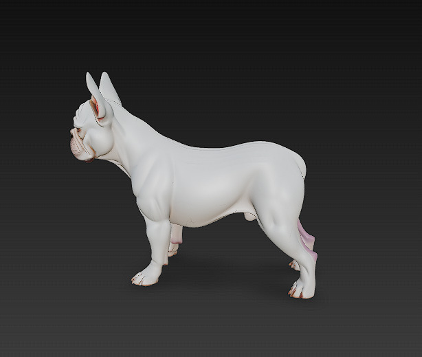 French Bulldog White Dog Realistic 3D Model - Low Poly Realistic Low-poly 3D model_5