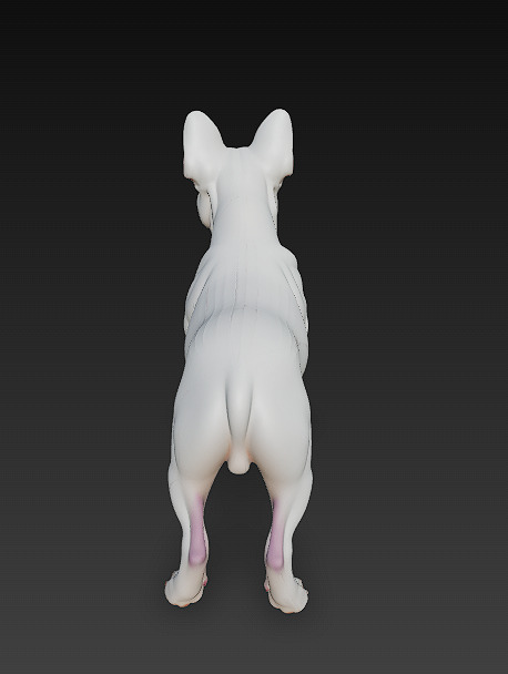 French Bulldog White Dog Realistic 3D Model - Low Poly Realistic Low-poly 3D model_4
