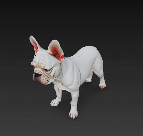 French Bulldog White Dog Realistic 3D Model - Low Poly Realistic Low-poly 3D model_6