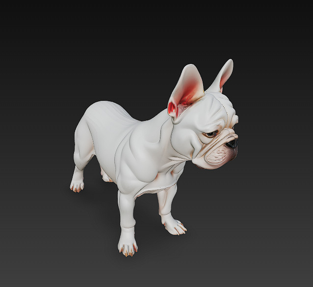 French Bulldog White Dog Realistic 3D Model - Low Poly Realistic Low-poly 3D model_2
