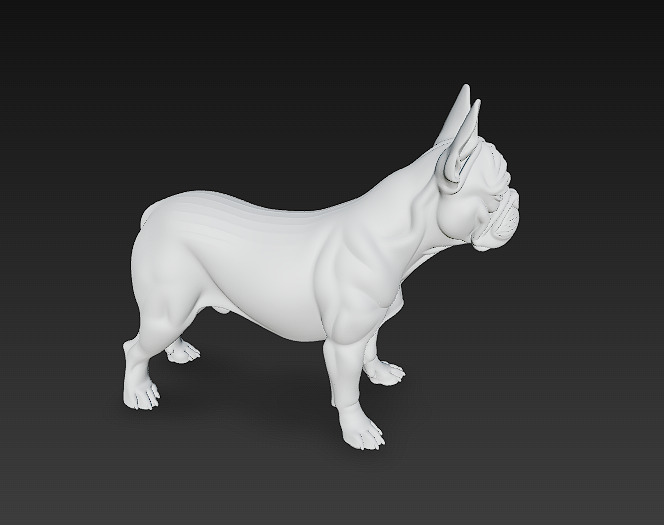 French Bulldog White Dog Realistic 3D Model - Low Poly Realistic Low-poly 3D model_13