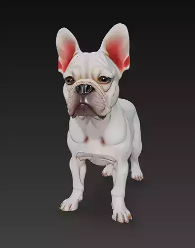 French Bulldog White Dog Realistic 3D Model - Low Poly Realistic