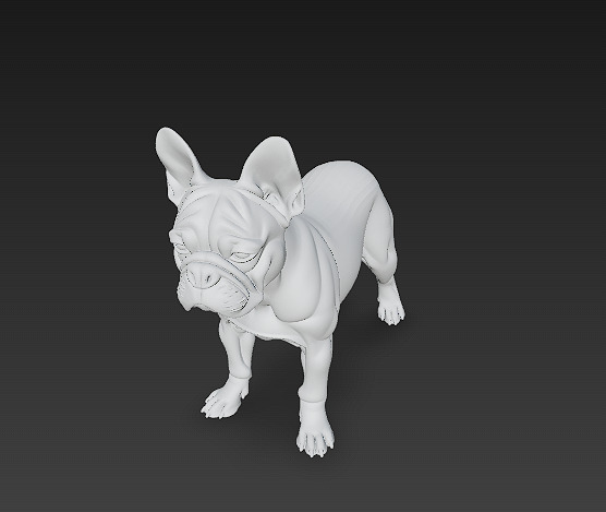 French Bulldog White Dog Realistic 3D Model - Low Poly Realistic Low-poly 3D model_10
