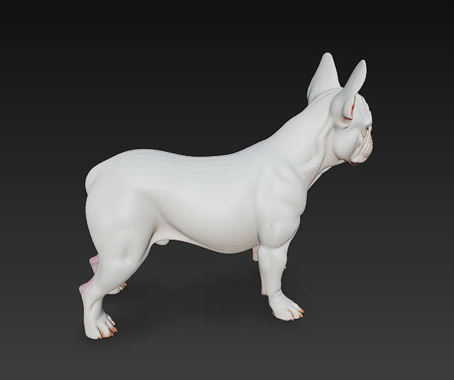 French Bulldog White Dog Realistic 3D Model - Low Poly Realistic Low-poly 3D model_3