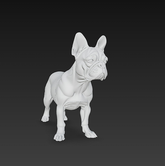 French Bulldog White Dog Realistic 3D Model - Low Poly Realistic Low-poly 3D model_9
