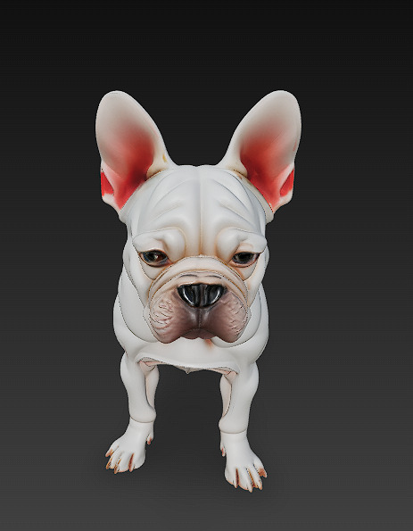French Bulldog White Dog Realistic 3D Model - Low Poly Realistic Low-poly 3D model_1