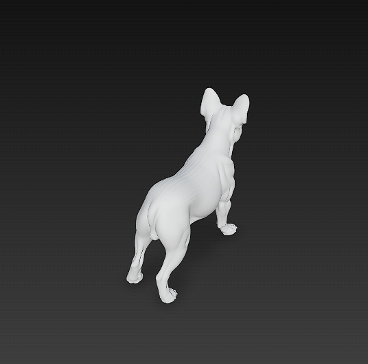 French Bulldog White Dog Realistic 3D Model - Low Poly Realistic Low-poly 3D model_12