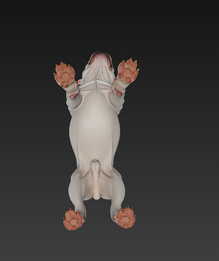 French Bulldog White Dog Realistic 3D Model - Low Poly Realistic Low-poly 3D model_8