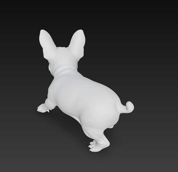 French Bulldog Puppy Dog Realistic 3D Model - Low Poly Realistic Low-poly 3D model_14