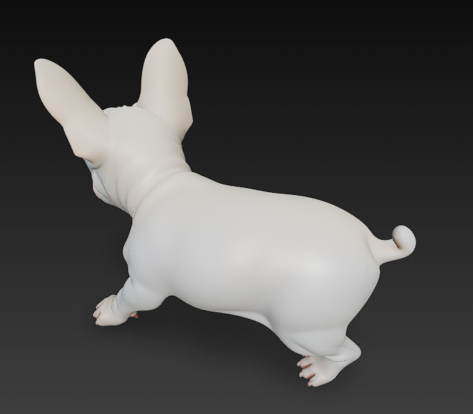 French Bulldog Puppy Dog Realistic 3D Model - Low Poly Realistic Low-poly 3D model_6