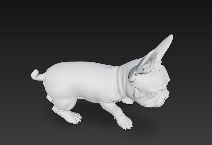 French Bulldog Puppy Dog Realistic 3D Model - Low Poly Realistic Low-poly 3D model_16