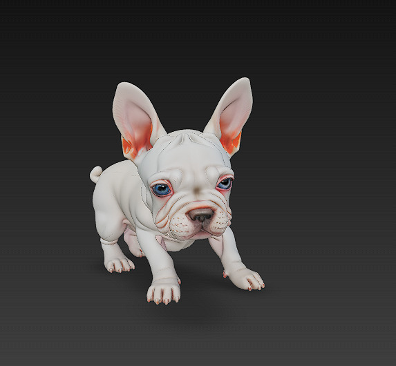 French Bulldog Puppy Dog Realistic 3D Model - Low Poly Realistic Low-poly 3D model_4