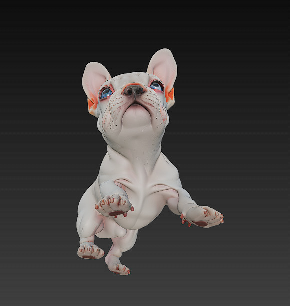 French Bulldog Puppy Dog Realistic 3D Model - Low Poly Realistic Low-poly 3D model_2