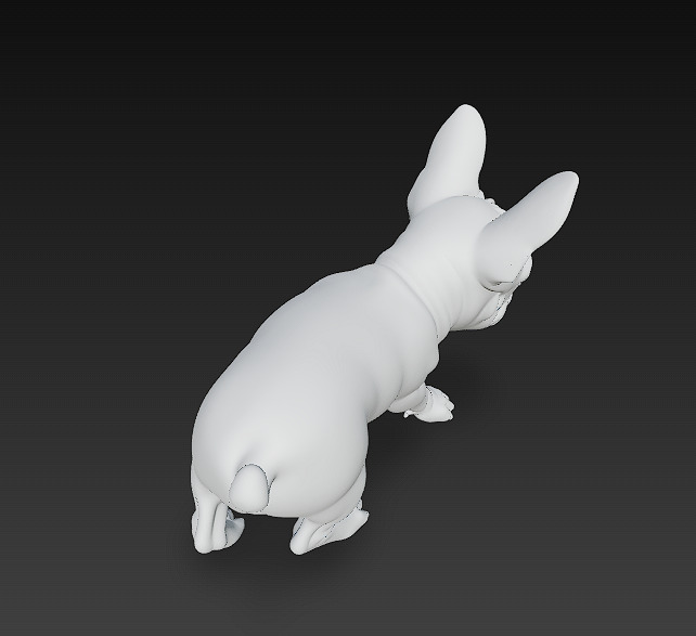 French Bulldog Puppy Dog Realistic 3D Model - Low Poly Realistic Low-poly 3D model_15