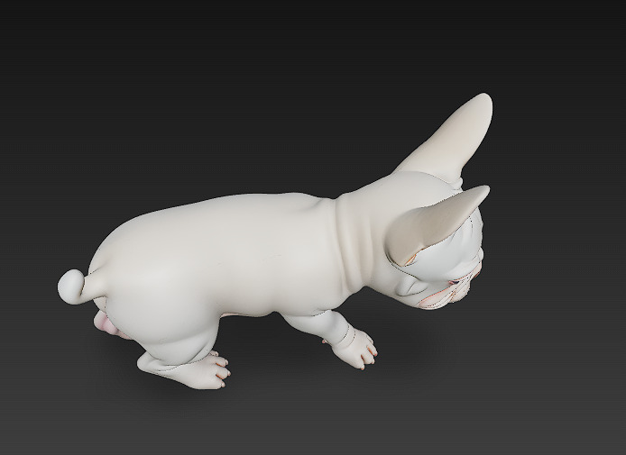 French Bulldog Puppy Dog Realistic 3D Model - Low Poly Realistic Low-poly 3D model_9
