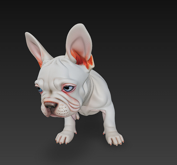 French Bulldog Puppy Dog Realistic 3D Model - Low Poly Realistic Low-poly 3D model_1
